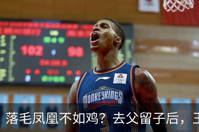 落毛凤凰不如鸡?去父留子后,王鸥回应无戏可拍,坦言走上另一条路